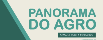 Panorama do Agro - Semana de 9 a 13 de junho