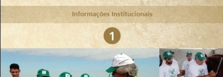 Série Metodológica do SENAR: Informações Institucionais - Volume 1